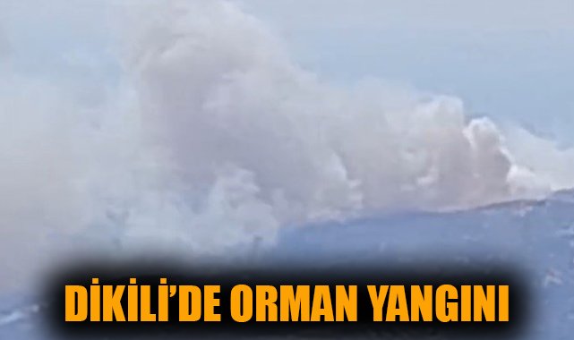 Çandarlı Mahallesi’nde Orman Yangını!