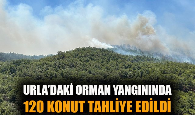 Orman Yangınında 120 Konut Tahliye Edildi