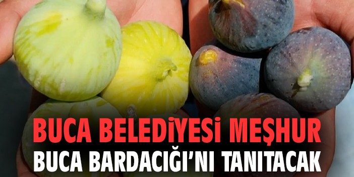 Buca’da Bardacık Tanıtım Etkinliği!