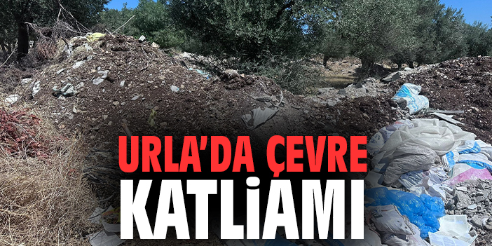 Urla’da Zeytin Ağaçları Tehlikede!