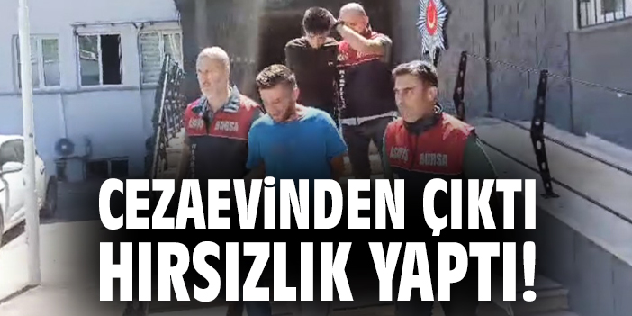 14 Yıl Cezaevinde Kaldı, İzinden Çıkar Çıkmaz Hırsızlık Yaptı!