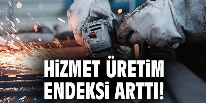 TÜİK: Hizmet Üretim Endeksi Haziran’da Arttı!