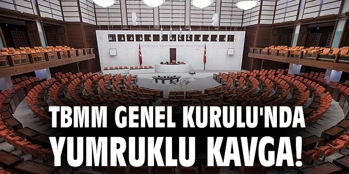 TBMM Genel Kurulu’nda Yumruklu Kavga!