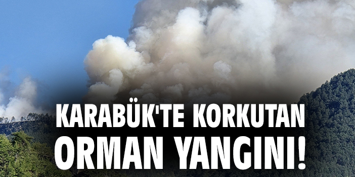 Orman Yangını Beydini ve Alınca Köyü’ne Sıçradı!