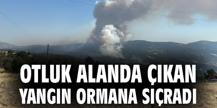 Uşak’ta Dereli Köyünde Orman Yangını!