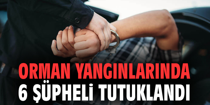 Orman Yangınlarıyla İlgili 6 Kişi Tutuklandı