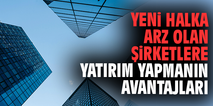 Halka Arz Nedir? Şirketler Neden Halka Arz Olur?