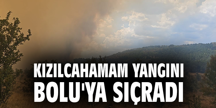 Kızılcahamam’da Orman Yangını Tehlikesi