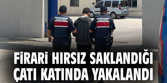 Cezaevi Firarisi Amcasının Evinde Yakalandı