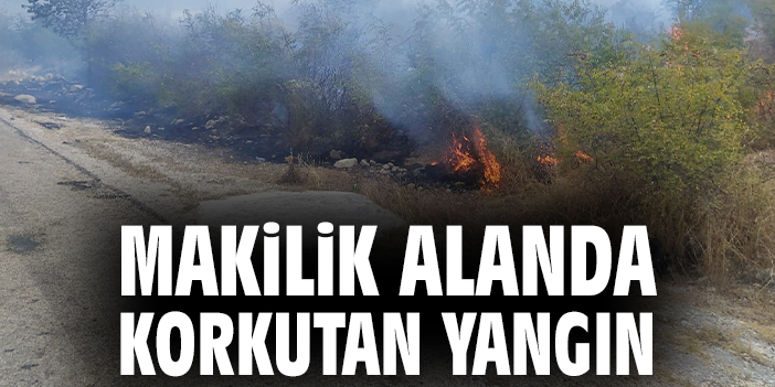 Hızla yayılan yangın kontrol altına alındı