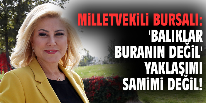 İzmir Körfezi’nde Balık Krizi: Sorunu Çözemeyeceğiz