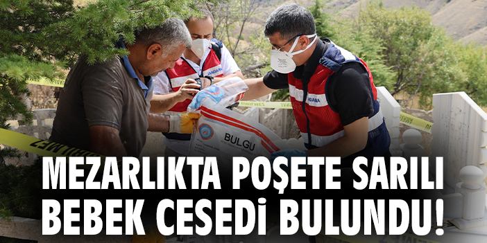 Mezarlıkta bulunan bebek cesedi korkuttu