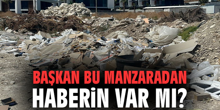 Çeşme’de Çevre Katliamı: İlçe Halkı İsyan Etti