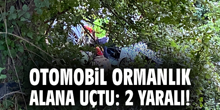 Eyüpsultan’da Otomobil Ormanlık Alana Uçtu