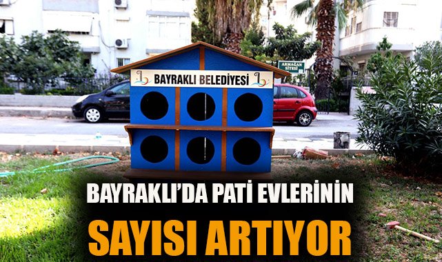40 Kedi Evi: Sokak Hayvanları İçin Yeni Dönem!