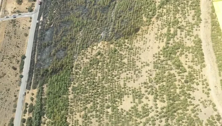 İZMİR’DE ORMAN YANGINI HIZLI MÜDAHALE İLE KONTROL ALTINA ALINDI