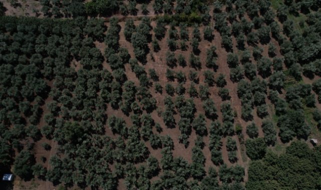 Hırsızlar su pompalarını çaldı, çiftçiler çamurda mücadele ediyor!