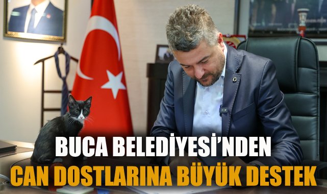 Buca Belediyesi’nden Sokak Hayvanlarına Ücretsiz Çip ve Kısırlaştırma!