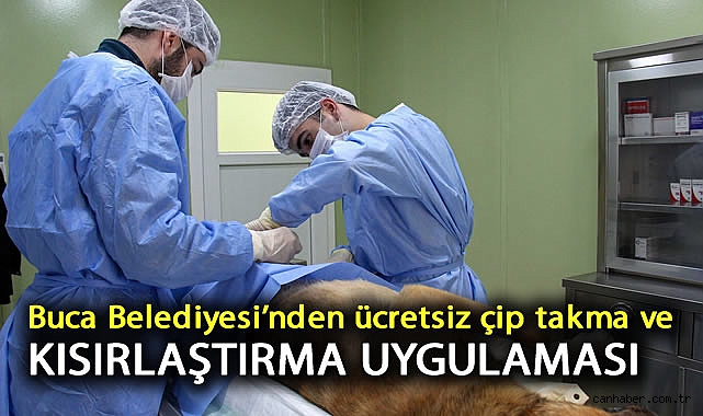 Buca’da Sahiplendirme Seferberliği!