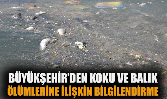 İzmir’de Koku ve Balık Ölümlerine Sebep Olan Planktonlar!