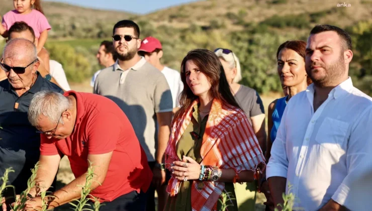 Ata Tohumu Susam Hasadı Coşkusu!