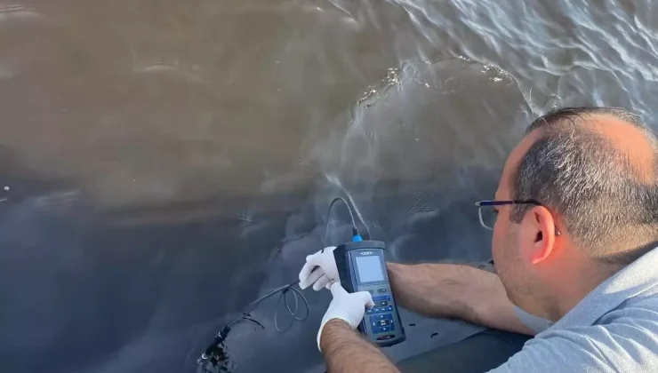 İzmir Körfezi’nde Balık Ölümleri: Oksijen Seviyesi Düşüşü!