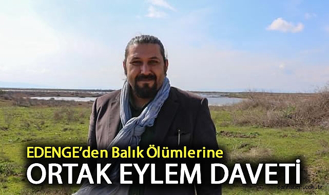 İZMİR’DE TOPSUZ BALIK ÖLÜMLERİ! ÇEVRE KRİZİ NEDENİYLE…