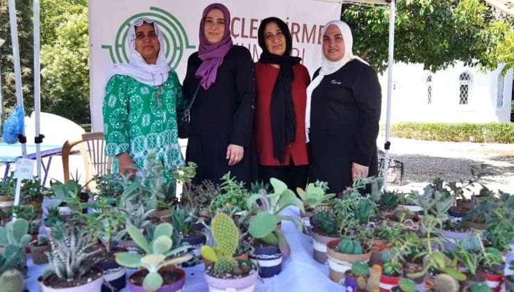 Kadifekaleli Kadınlar Kaktüs ve Sukulent Üretiyor