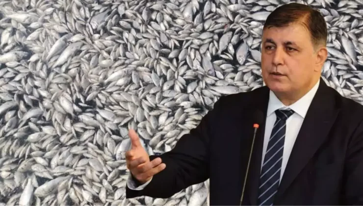 İZMİR KÖRFEZİNDE BÜYÜK TEHLİKE!