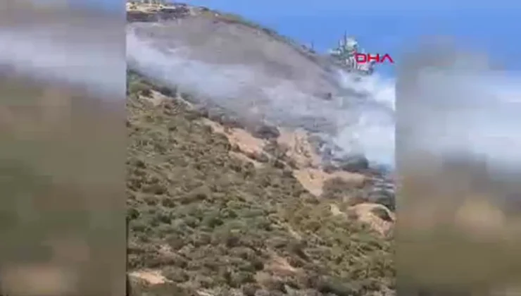 Aliağa’da Orman Yangını: Havadan ve Karadan Müdahale Devam Ediyor