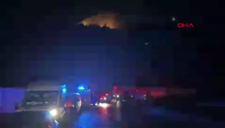 Kemalpaşa’da Gece Yarısı Orman Yangını Kontrol Altına Alındı