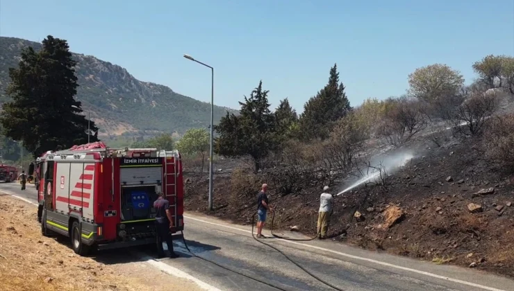 Efes Antik Kenti Girişinde Çıkan Yangın Söndürüldü