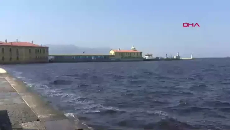 İzmir Sahilinde Balık Ölümleri: Su Ürünleri Av Yasağı Başladı