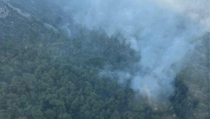 Menderes’teki Orman Yangını 73 Saat Sonra Kontrol Altına Alındı