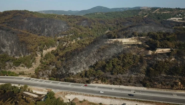 İzmir’deki Orman Yangınında Havadan Müdahale Devam Ediyor