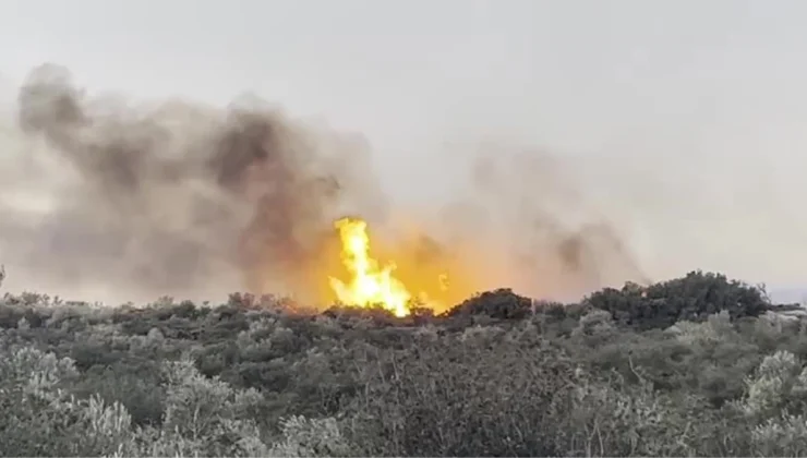 Urla’da Makilik Alanda Devam Eden Yangın Kontrol Altında