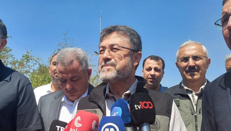 İzmir Orman Yangınları Kontrol Altında