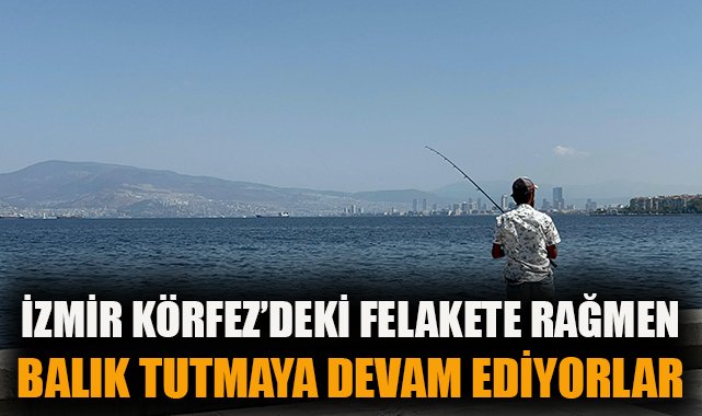 İzmir Körfezi’nde Balık Ölümleri Alarmı