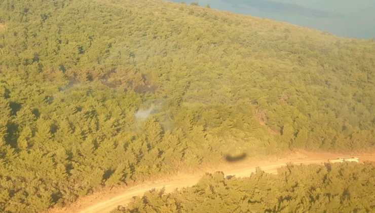 Urla’da Hızlı Müdahale: Orman Yangını 2 Saatte Kontrol Altına Alındı