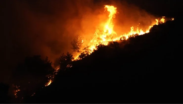 Urla’da Orman Yangını: 1 Kişi Gözaltında