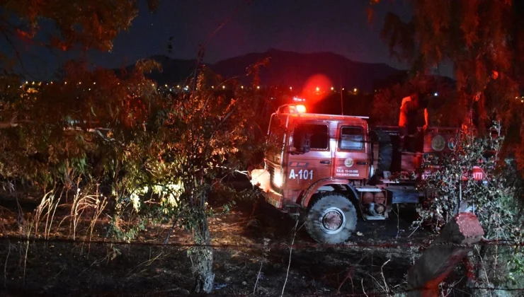 Kemalpaşa’da Zeytinlik Alanda Yangın!