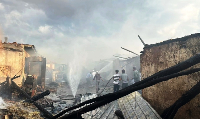 Çamdibi Köyünde Yangın: 14 Büyükbaş Hayvan Telef Oldu