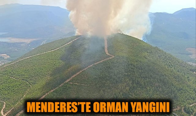İzmir’de Orman Yangını: Büyük Müdahale Başladı