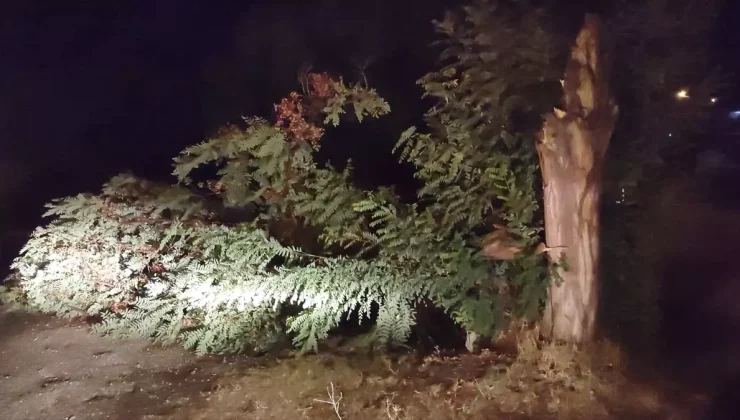 İzmir’de Şiddetli Rüzgar Ve Sağanak: Mahalle Şenliği İptal Edildi