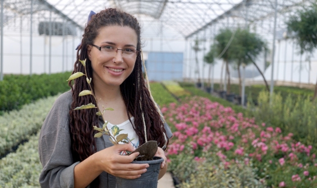 İzmir’de Yaban Otla Mücadelede Keçe Çözümü!