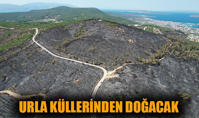 Urla’da Büyük Orman Yangınları!