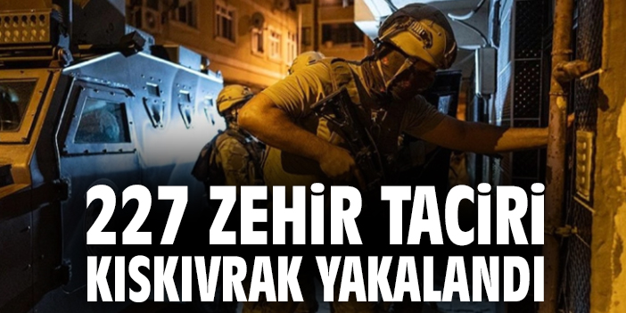227 zehir taciri kıskıvrak yakalandı