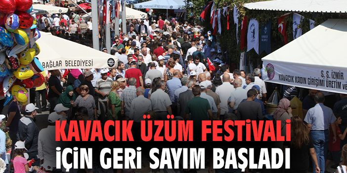 Kavacık Üzüm Festivali için geri sayım başladı