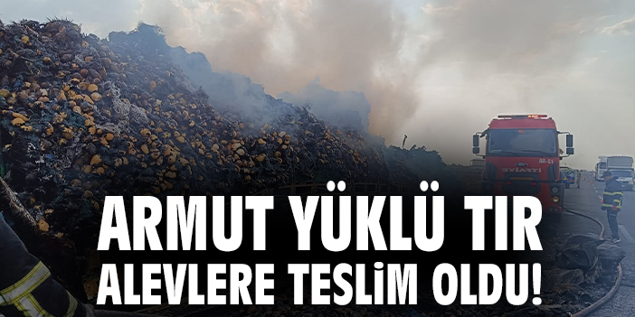 Kızıltepe’de Yangın: Armut Yüklü Tır Yanarak Küle Döndü