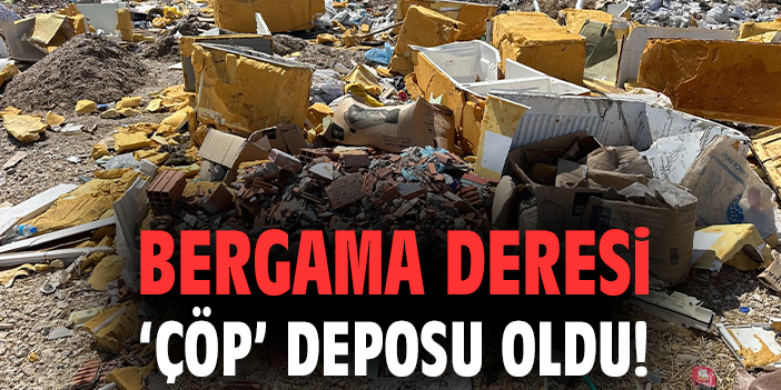 Bergama Deresi Çöp Yığınına Dönüştü!